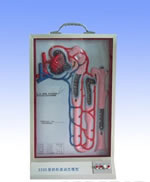 尿的形成动态模型